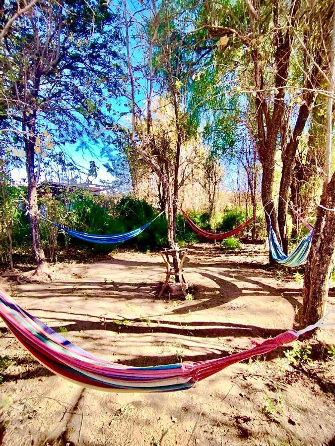 Suri Atacama - Eco H&T Guest House ซานเปโดร เด อาตากามา ภายนอก รูปภาพ