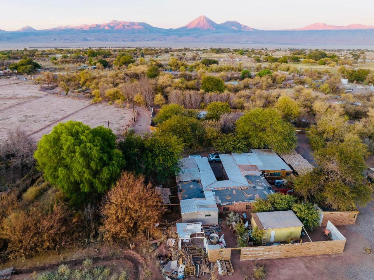 Suri Atacama - Eco H&T Guest House ซานเปโดร เด อาตากามา ภายนอก รูปภาพ